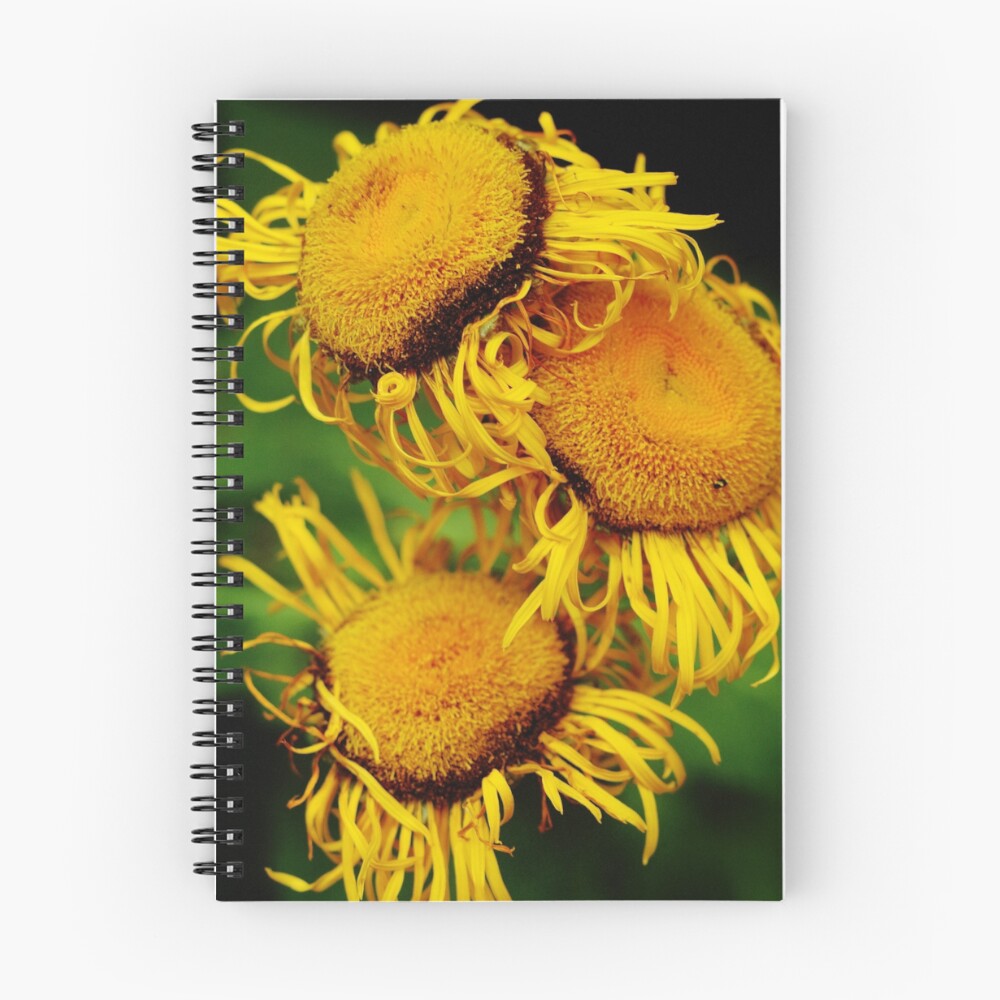 Item preview, Spiral Notebook designed and sold by DavidROMAN.