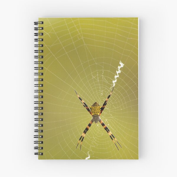 Item preview, Itsy bitsy spider designed and sold by Paulo Rodrigues.
