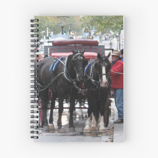 Item preview, Watching & Waiting designed and sold by Skyhorse.
