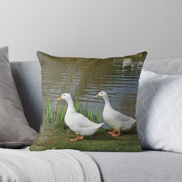 Item preview, Two white ducks at water's edge designed and sold by LindaCooke.