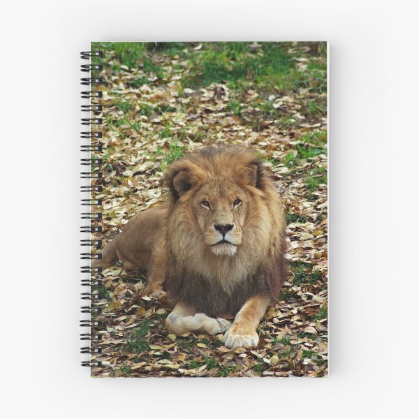 Item preview, Lion designed and sold by BenHughes.