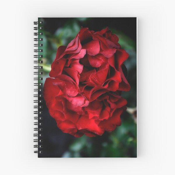 Item preview, Old Rose designed and sold by Karen  Betts.