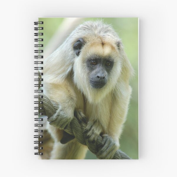 Item preview, Howler designed and sold by ApeArt.