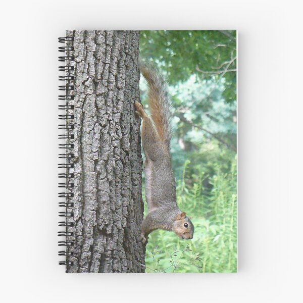 Item preview, Super Squirrel designed and sold by Veronica Leigh.