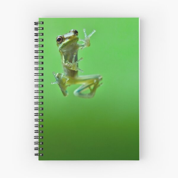 Item preview, Hello Froggy designed and sold by Jose O. Mediavilla.