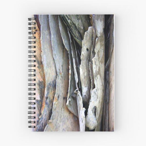 Aperçu de l'œuvre Curious Bark créée et vendue par Haydee Yordan.