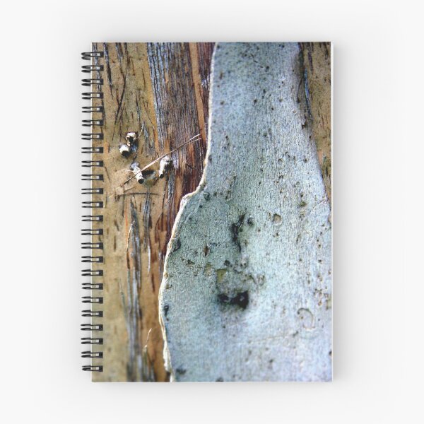 Aperçu de l'œuvre Curious Bark 2 créée et vendue par Haydee Yordan.