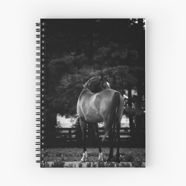 Item preview, Dark Horse II designed and sold by Heather Last.