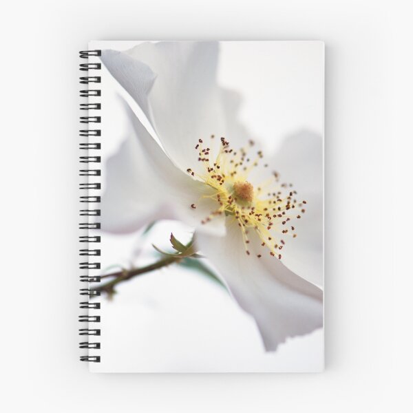 Item preview, Elusive designed and sold by Extraordinary Light.