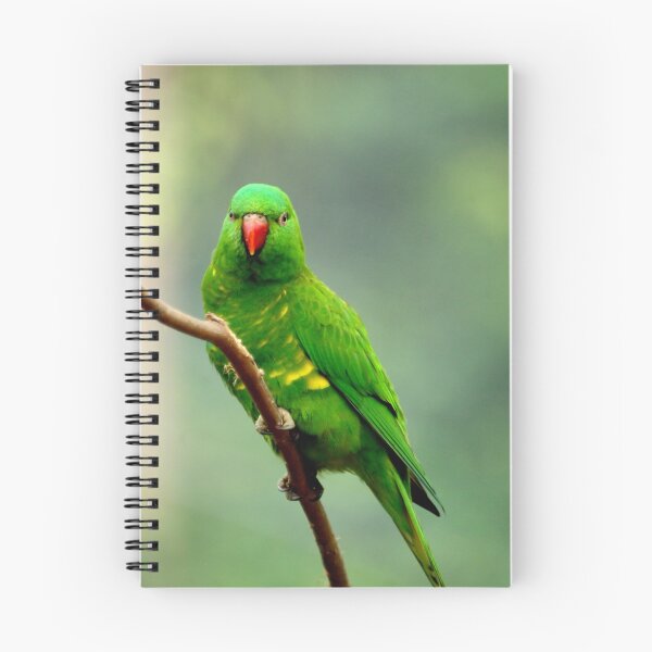 Item preview, Scaly - Breasted Lorikeet designed and sold by Tamara  Kenneally.