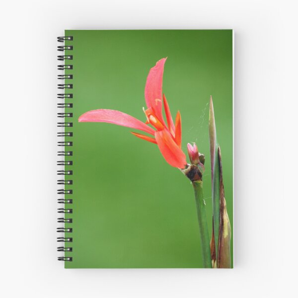 Item preview, Delicate Shafts of Orange designed and sold by Wayne Gerard Trotman.