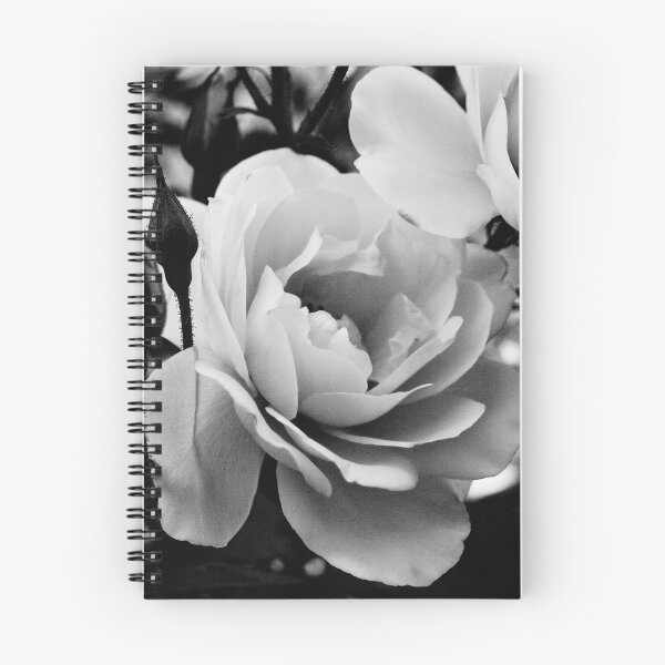 Item preview, White rose in monochrome designed and sold by Elana Bailey.