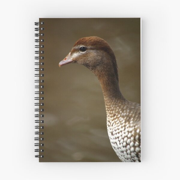 Artikelvorschau, Australian Wood Duck - Female entworfen und verkauft von Tamara  Kenneally.