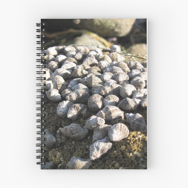 Item preview, snail commune... designed and sold by kangarookid.