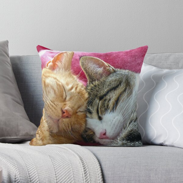 Sleeping Cat Pillows & Cushions for Sale