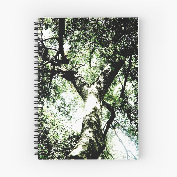 Artikelvorschau, Light Through the Trees entworfen und verkauft von JulieDanielle.