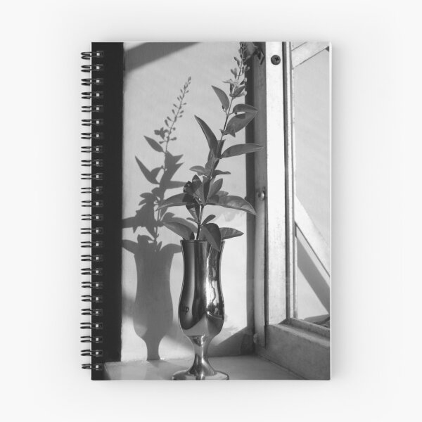 Item preview, shadows designed and sold by carlosporto.