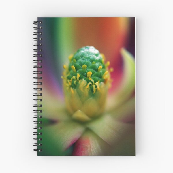 Item preview, Jewel Colours designed and sold by Extraordinary Light.