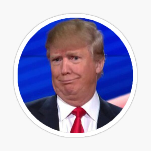 Donald Trump Sticker Sticker