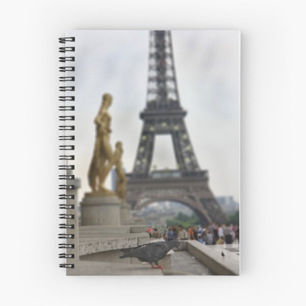 Artikelvorschau, PIGEON OF PARIS entworfen und verkauft von MIGHTY TEMPLE IMAGES.