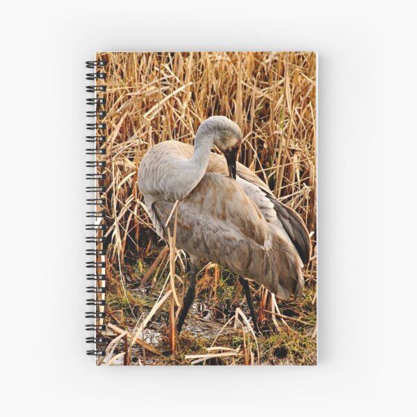 Item preview, Sandhill Crane2 designed and sold by MaluC.