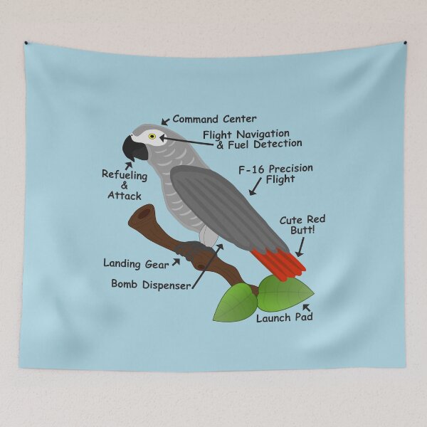 Item preview, Anatomy of an African Grey Parrot    designed and sold by einsteinparrot.