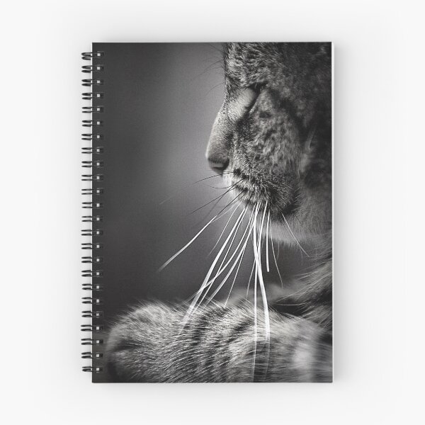 Item preview, Whiskers designed and sold by Basia McAuley.