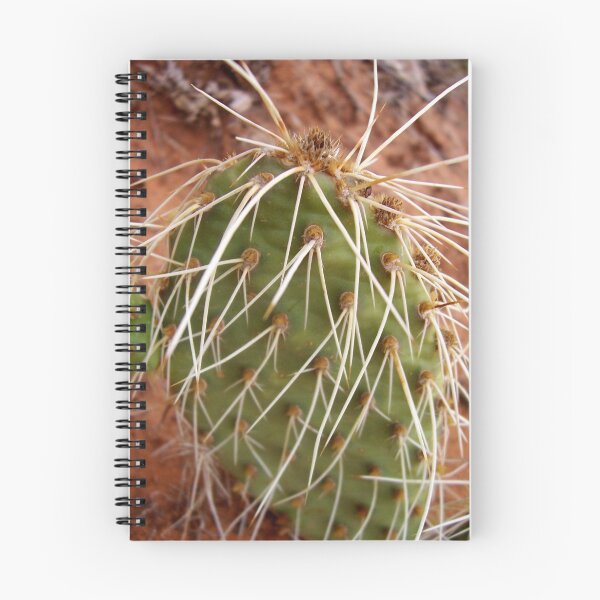 Artikelvorschau, Cactus entworfen und verkauft von ChelseaSelf.
