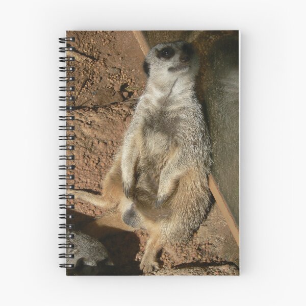 Aperçu de l'œuvre Meerkat créée et vendue par Fitzard.