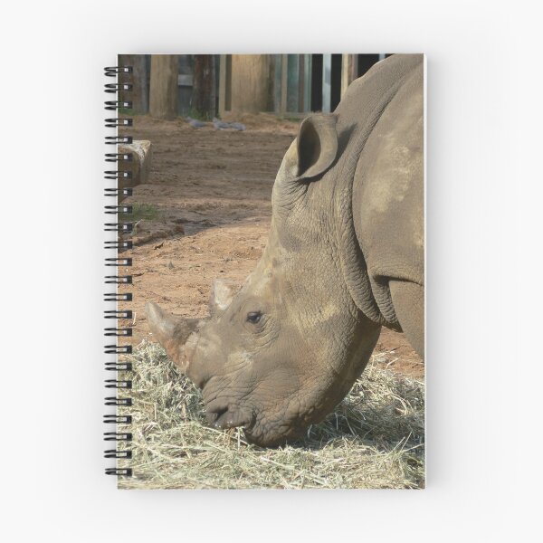 Aperçu de l'œuvre Rhinocéros créée et vendue par Fitzard.