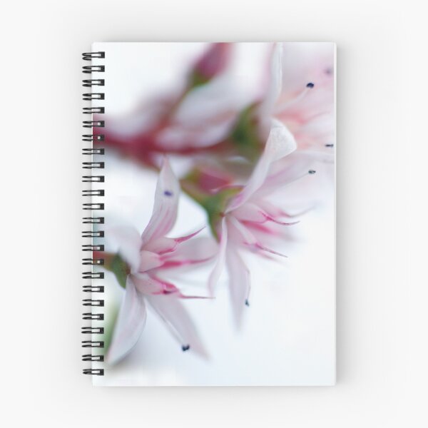Item preview, Blossoms designed and sold by Extraordinary Light.