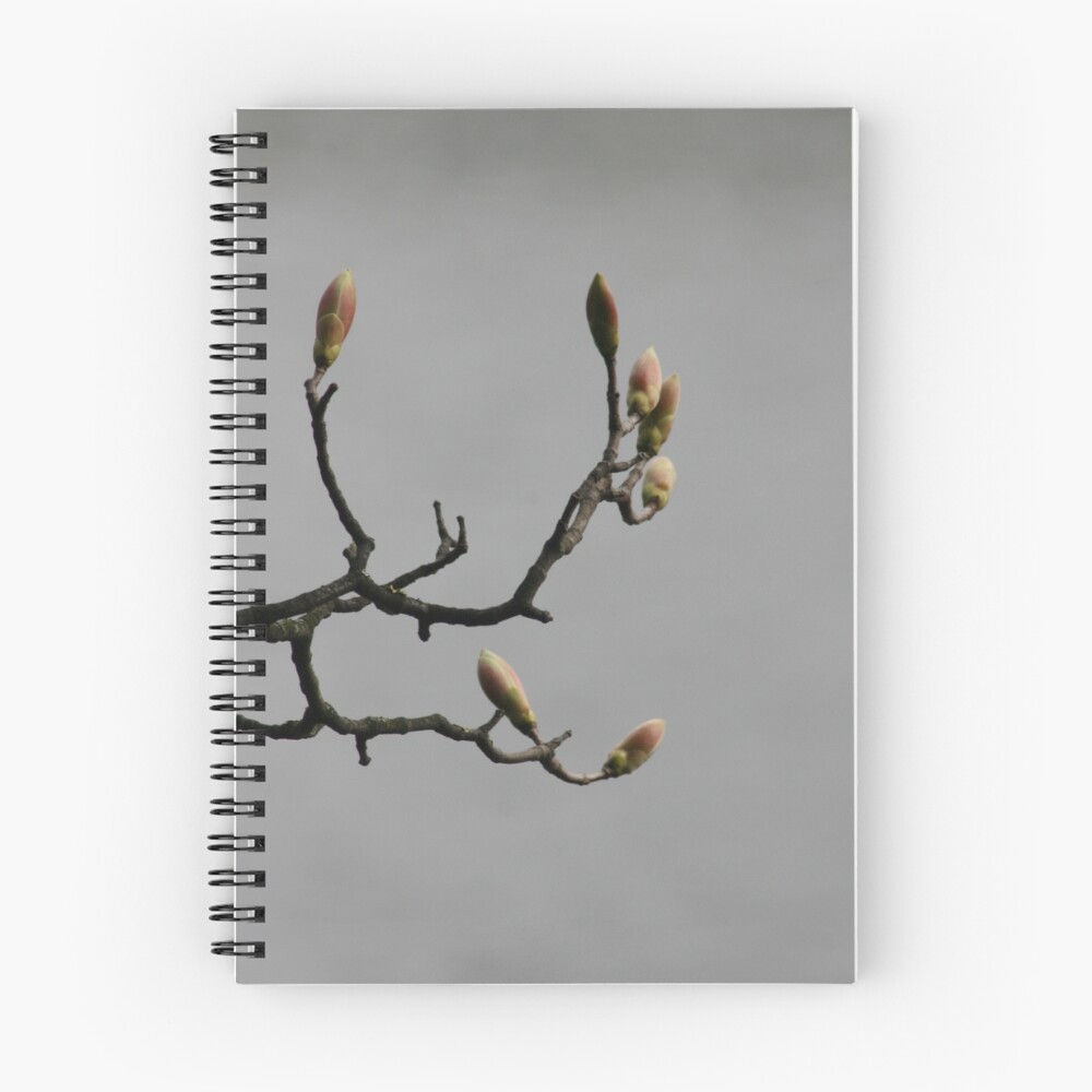 Item preview, Spiral Notebook designed and sold by EdGunn.