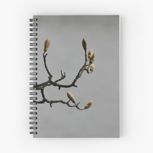 Item preview, Budding designed and sold by Edward Gunn.