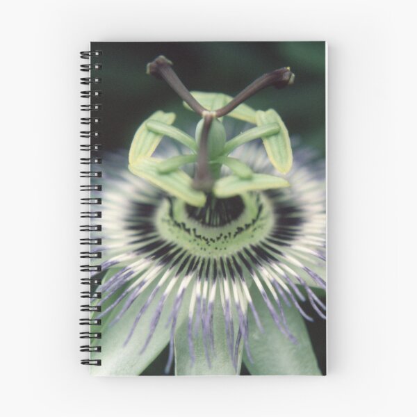 Item preview, Passionflower designed and sold by JeniNagy.