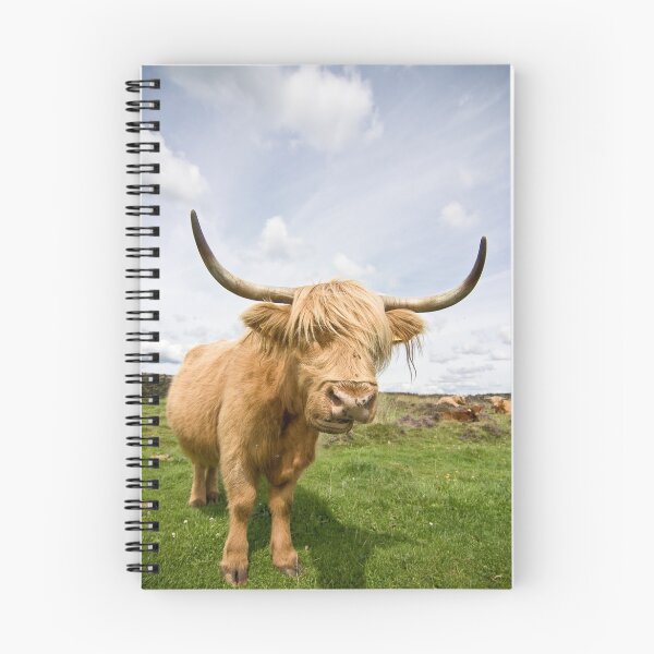 Item preview, Highland Cow designed and sold by Jon Bradbury.