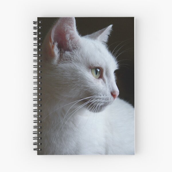 Item preview, Deep In Thought designed and sold by Sally Green.