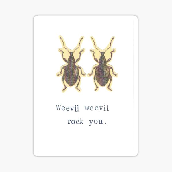 Item preview, Weevil Weevil Rock You designed and sold by BlueSpecsStudio.