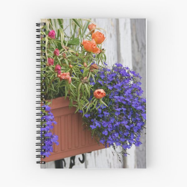 Item preview, Lobelia in a Box designed and sold by Brenda Dow.