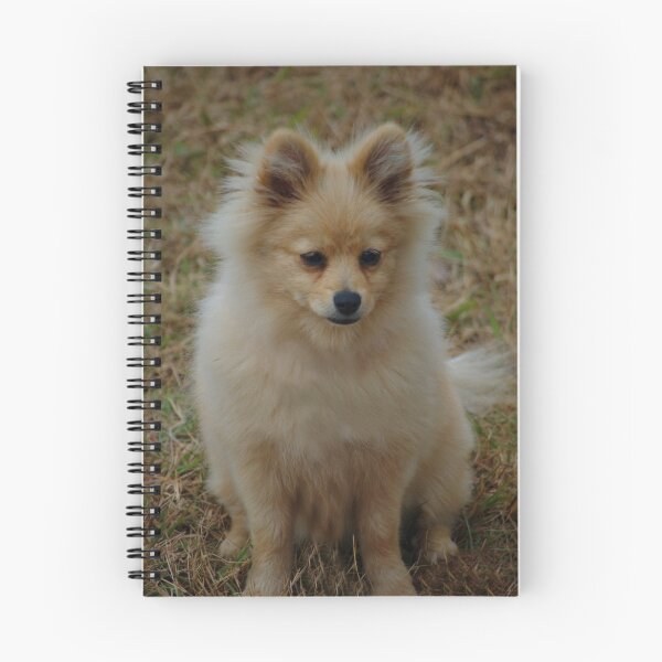 Artikelvorschau, POMERANIAN entworfen und verkauft von Cheryl Hall.