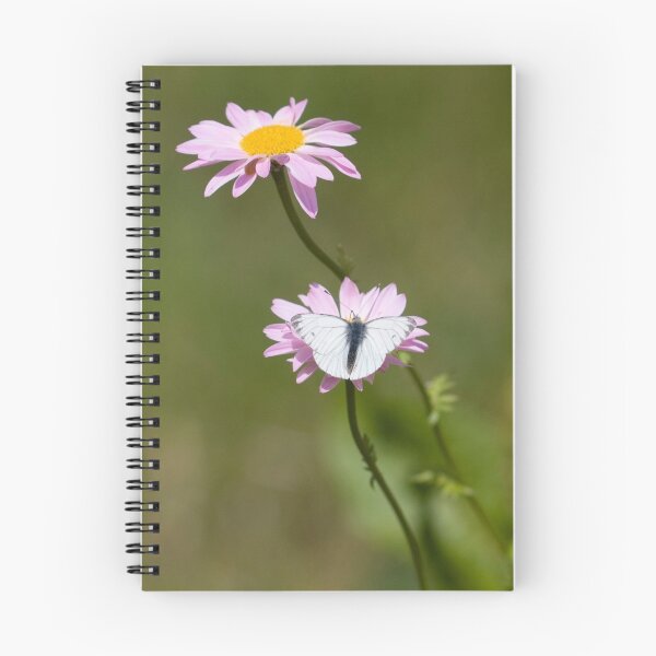 Artikelvorschau, Large white butterfly entworfen und verkauft von Carole Stevens.
