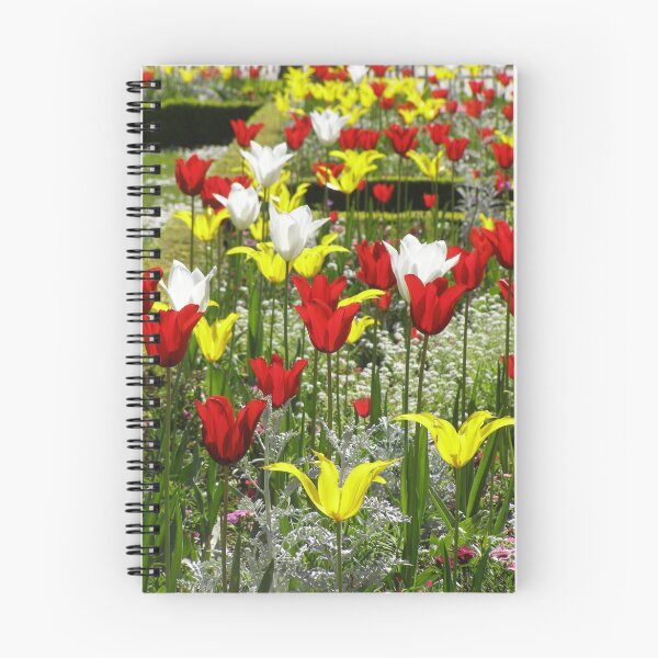 Item preview, Notre-Dame Garden, Paris designed and sold by Linda Hardt.