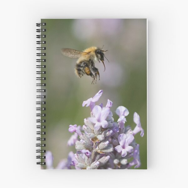 Item preview, Bumble bee taking off from Lavender designed and sold by Carole Stevens.