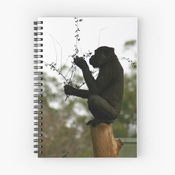 Item preview, A beautiful Mind designed and sold by Adara Rosalie.