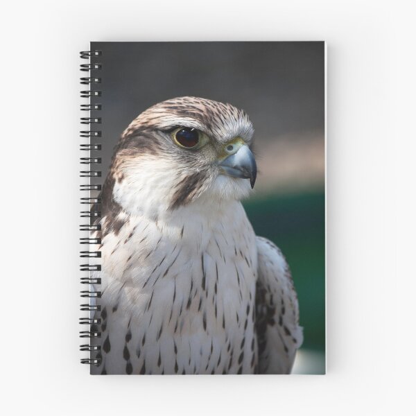 Item preview, Peregrine Falcon designed and sold by Paul Messenger.