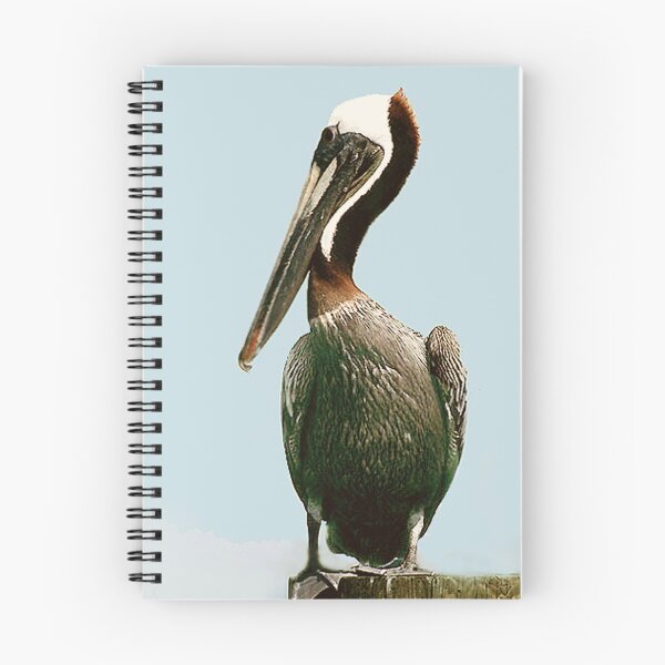 Item preview, Brown Pelican designed and sold by WTBird.