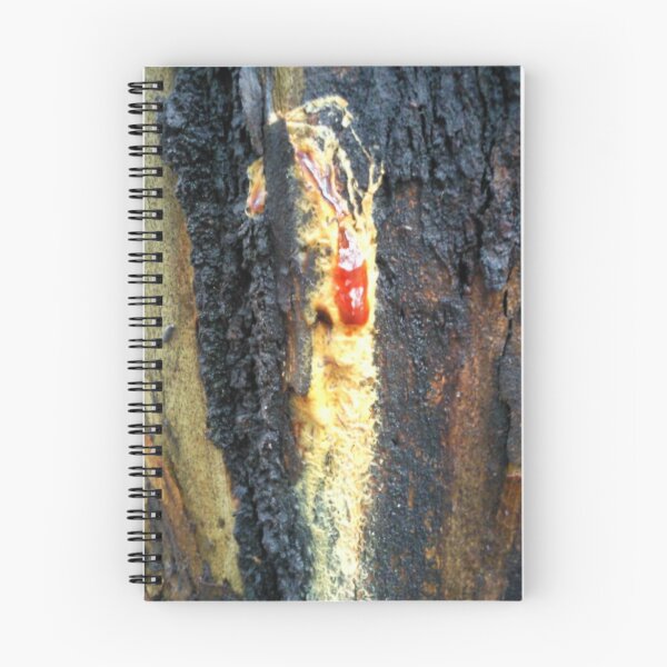 Item preview, Tree gum designed and sold by Annie Street.