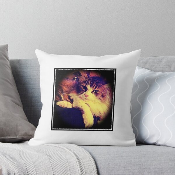 Item preview, Joey  designed and sold by xtiguy.