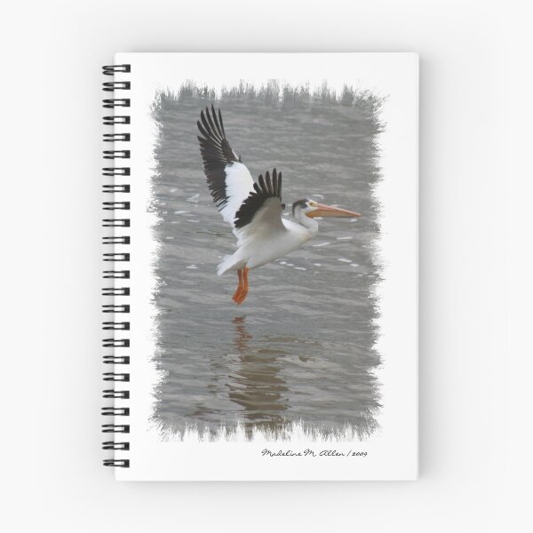 Item preview, ~ Flight of the Pelican ~ designed and sold by SmudgeArt.