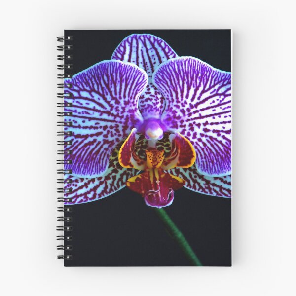 Item preview, Dazzling designed and sold by Extraordinary Light.