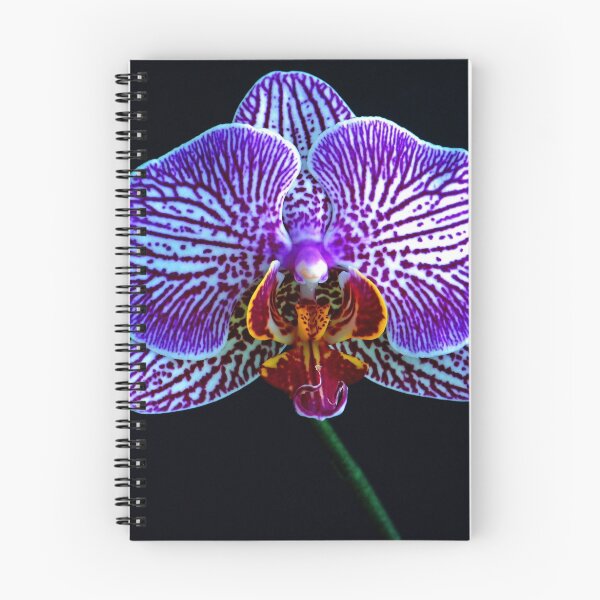 Item preview, Dazzling designed and sold by Extraordinary Light.